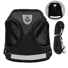 Pet Mesh Harness with Leash – Comfortable and Adjustable for Dogs and Cats