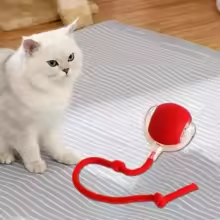 Interactive Smart Cat Toy – Automatic Rolling Ball with Fake Tail