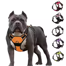 Reflective Dog Harness with Adjustable Leash – Comfortable and Safe for Outdoor Walks